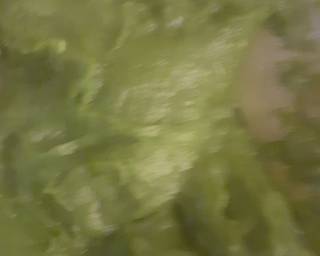 Cendol Beras (ke-2) - Step 2