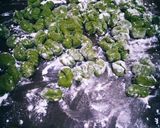 Foto del paso 4 de la receta: Ñoquis de acelga