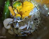A picture of step 1 of South Indian Vegetable Kurma.