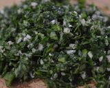 Foto del paso 3 de la receta: Vegetales fusión en dos pasos