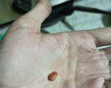 A picture of step 20 of Lauki Tikka Masala.