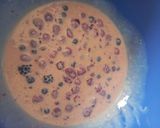 Foto del paso 8 de la receta: Kuchen frutos rojos