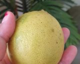 Foto langkah ke 3 dari resep Infuse Water Chia Lemon Timun.
