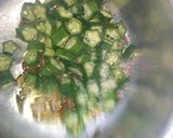 A picture of step 3 of Okra + egg plant.