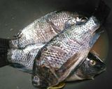 Foto langkah ke 1 dari resep Pecak Ikan Mujaer/Mujair ala Betawi.