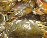 Foto langkah ke 1 dari resep Kepiting Saos Padang.
