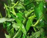 Foto langkah ke 2 dari resep Tumis Kangkung Balacan.