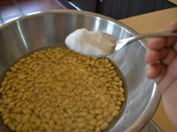 滷水黃豆（台灣省產黃豆食譜）