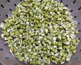 मिक्स स्प्राऊट सॅलड (mix sprouts salad recipe in marathi) रेसिपी स्टेप 1 फोटो