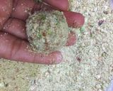A picture of step 6 of Dry fruits laddu.