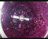 A picture of step 1 of Jamun shot.