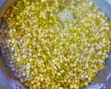 A picture of step 1 of Mung Dal.