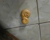 Foto langkah ke 4 dari resep Roti Maryam Berserat.