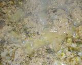 Foto del paso 6 de la receta: Albóndigas con arroz