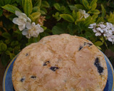 Foto del paso 5 de la receta: Budín de arándanos✨💜