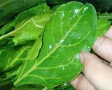 A picture of step 3 of Palak ke pakory.