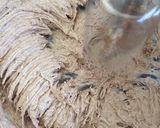 Foto langkah ke 5 dari resep Eggless Milo Cake with milo buttercream frosting.