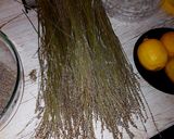 Pas rețetă Limonadă din lavandă 1 fotografie