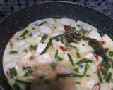 Foto langkah ke 4 dari resep Lodeh Praktis (Tahu Terong Menjos).