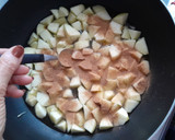 Foto del paso 2 de la receta: Manzanas en almíbar, canela y miel🍎