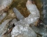 Hình bước làm 1 của món Bông cải xanh xào tôm
