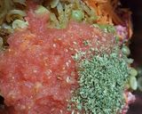 Foto del paso 7 de la receta: Pan de carne en masa crocante