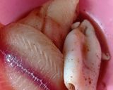 Foto langkah ke 1 dari resep Dori fillet tepung dan Cumi Besar Tepung.