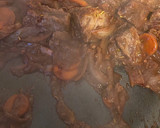 A picture of step 2 of Giouvetsi.
