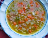 Foto del paso 8 de la receta: Sopa Cultivateur ✨