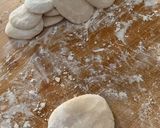 Foto del paso 1 de la receta: Dumplings chinos