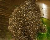 Quinoa Pasta recipe step 6 photo