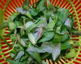 Hình bước làm 4 của món Gỏi Bưởi Đu Đủ Tôm Thịt