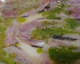 Foto del paso 1 de la receta: Sardinas andaluzas crujientes