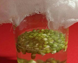 Foto del paso 3 de la receta: Brotes de soja (dientes de dragón) caseros