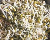 મેક્સિકન સલાડ (Mexican Salad Recipe In Gujarati) રેસીપી સ્ટેપ1ફોટો