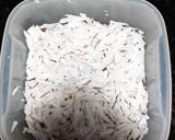 Foto del paso 1 de la receta: Arroz con leche