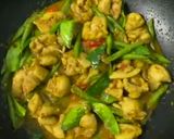 รูปขั้นตอนการทำที่ 6 ของ ผัดเผ็ดไก่ถั่วฝักยาว