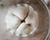Lievito Madre kovász recept fázis 6 fotója