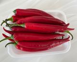 A picture of step 1 of Red chilli pickle.
