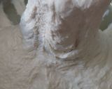 Foto langkah ke 3 dari resep Focaccia Bread dari Sourdough Discard Ragi Anggur.
