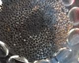 A picture of step 1 of Red Drink with Chia seeds.