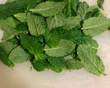 Foto del paso 4 de la receta: Mojito