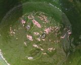 પાલક પનીર (Palak Paneer Recipe In Gujarati) રેસીપી સ્ટેપ2ફોટો