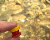 Foto del paso 7 de la receta: Risotto de mariscos