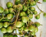 A picture of step 1 of Veg of Lisode.
