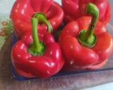 Foto del paso 6 de la receta: Pimientos morrones rellenos de tortilla