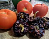 Foto del paso 1 de la receta: ÑORAS De Alicante para Salsa Romesco...!
