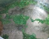 A picture of step 13 of Hyderabadi Chicken Biryani.