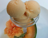 Foto del paso 6 de la receta: Helado de melón cantaloup elaborado con la Monsieur cuisine Plus