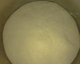 Foto langkah ke 3 dari resep Bakpao (No Mixer).